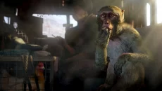 Far Cry 4 скриншот 3
